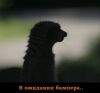 Аватара пользователя
