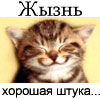 Аватара пользователя