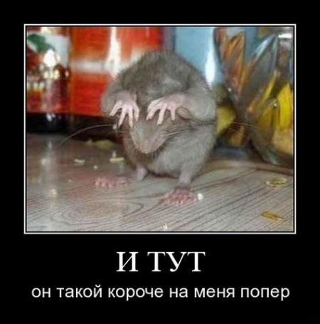 b97b24c64463e909dce1c4255cb89e29.jpeg